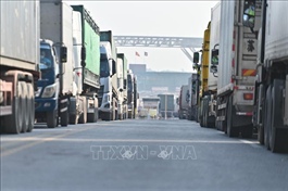 Vietnam Gov’t urges businesses to limit trucks to border gates with China