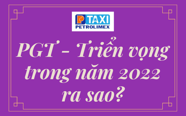 Read more about the article PGT – Triển vọng trong năm 2022 ra sao?