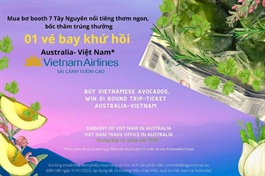 Vietnamese avocados officially sold in Australia