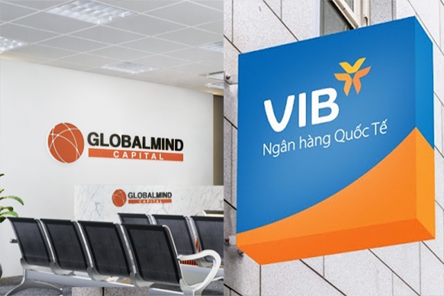 Read more about the article Chứng khoán Globalmind Capital về tay VIB?