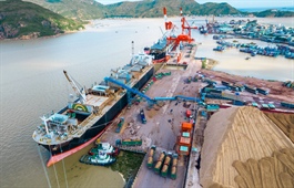 Quy Nhon Port JSC improves capacity, affirms strategic importance
