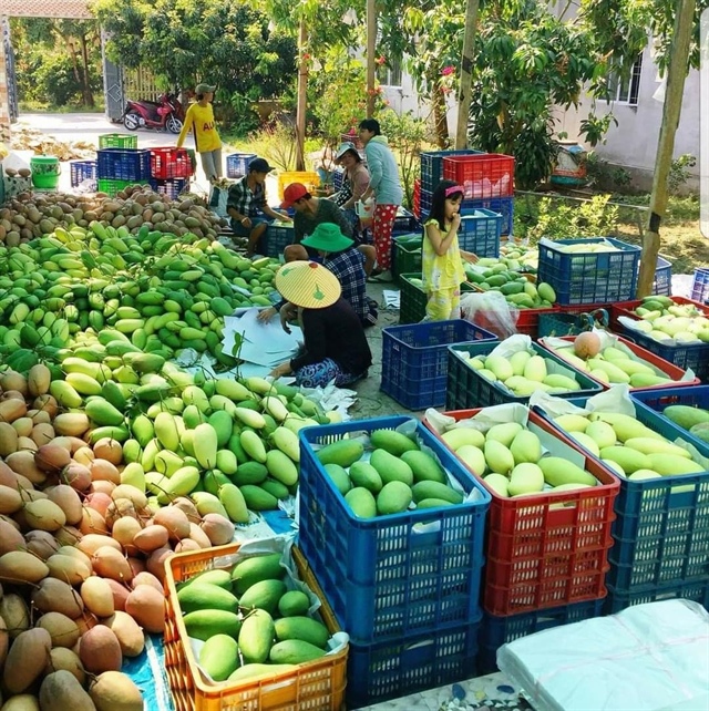 Nhiều loại trái cây tăng giá đầu năm - ảnh 1