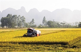 Vietnam targets green and climate-resilient agricultural sector by 2030