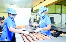 Vietnamese production, exports thrive amid pandemic