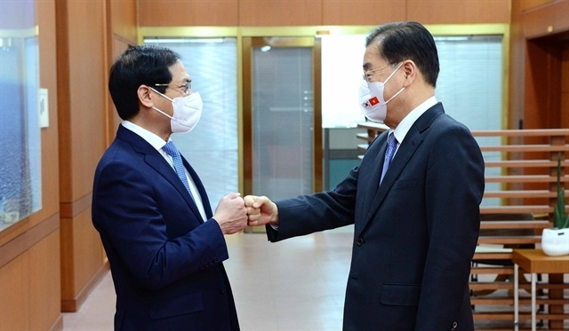 VN, RoK ministers discuss improving their strong relationship