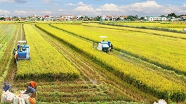 Vietnam announces strategy to become world’s major farm producer by 2030