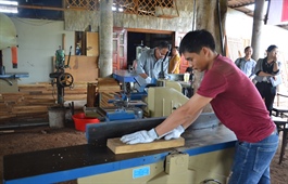 Ba Ria-Vung Tau Province resumes industry promotion projects