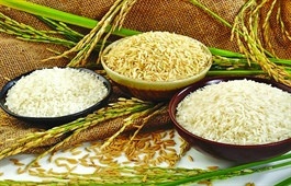 Why do exports fall short of potential?