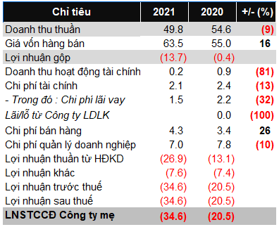 DSG BCTC 2021