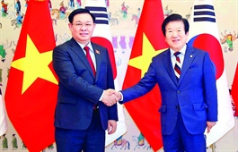 RoK, Vietnam target more trade, comprehensive alliance