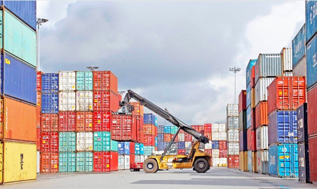Vụ lừa xuất khẩu điều sang Ý: Đã giữ lại được 16 container tại cảng - ảnh 1