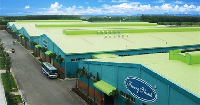 Read more about the article Công ty con của Bầu Thắng đã bán 4 triệu cp TTF