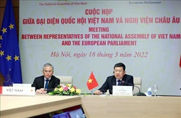 EVFTA as bright spot in Vietnam-EU relations