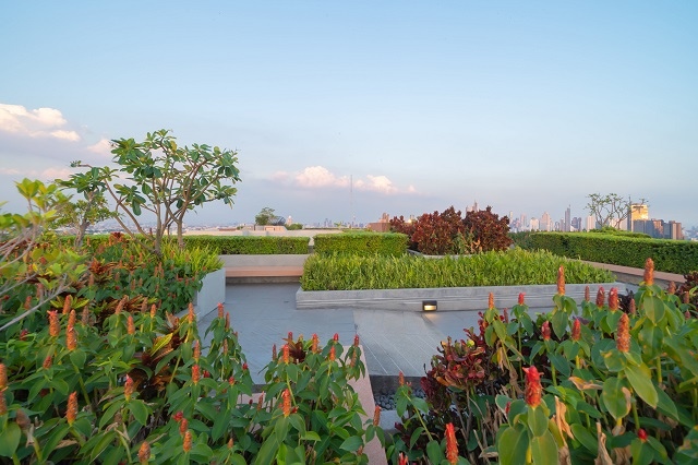 Read more about the article Rooftop Garden – Dấu ấn nổi bật tại khu phức hợp Westgate