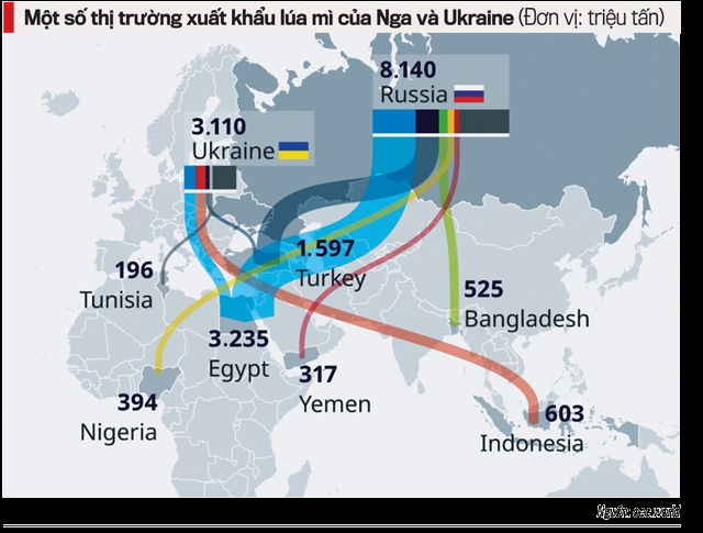ViMoney: Thế giới quay cuồng trong cơn sốt giá hàng hóa cơ bản - Thị trường xuất khẩu lúa mì của Nga và Ukraine