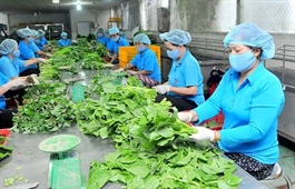 Hanoi's collective economic sector adopts ambitious plans