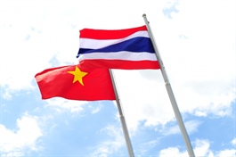 Vietnam and Thailand – supporters but not competitors: ThaiCham