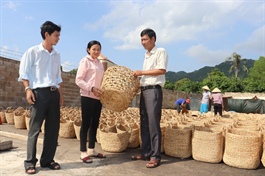 Ba Ria-Vung Province Tau promotes rural industry