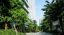 IFC invests US$44 million in green housing development in Vietnam