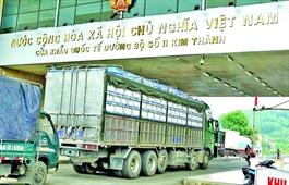 Vietnam’s farm exports to China require stricter standards