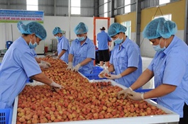 Vietnam has great opportunities in agricultural exports despite global turbulence