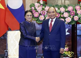 Economic cooperation to be key pillar in Vietnam-Laos relations: State President