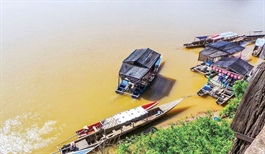 Mekong Delta development vital for Southern region