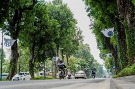 ADB, Vietnam cooperate on energy efficiency project for urban lighting