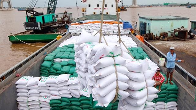 Tăng sức cạnh tranh cho gạo xuất khẩu sang Asean