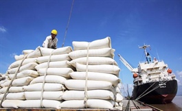 Vietnam rice in race to dominate ASEAN market