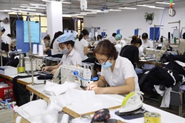 Higher quality standards to ensure Vietnam’s sustainable trade with EU
