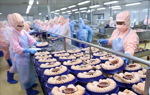 ‘Vua tôm’ Minh Phú báo lãi ròng quý 1 gấp 3.5 lần