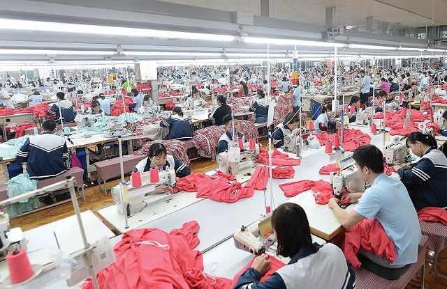 May Sông Hồng dự kiến phát hành 25 triệu cp trả cổ tức