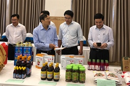Binh Thuan Province boosts promotion of rural industrial products