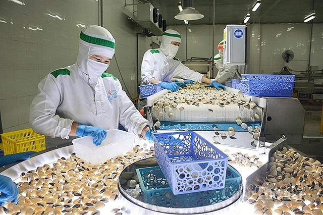No need to clam up about Vietnam’s bivalve exports to EU 