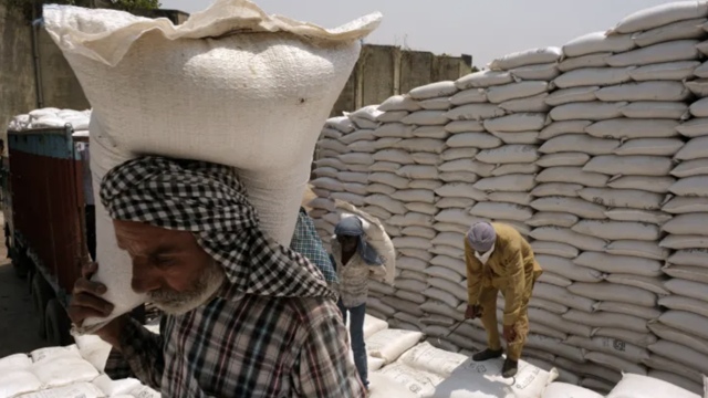 Không chỉ Ấn Độ, nhiều quốc gia khác cũng đang hạn chế xuất khẩu lương thực vì lo thiếu cung