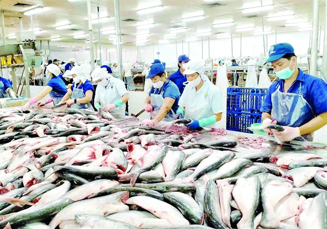 Vietnam’s seafood exports to EU going swimmingly well