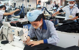 Q1 reports of Vietnamese enterprises reflect economic recovery