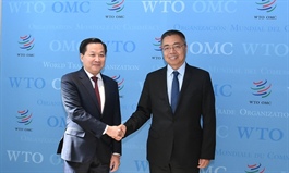 Vietnam continues supporting WTO’s role in facilitating free trade