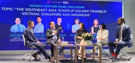 Vietnam - next growth driver of SEA Startup Golden Triangle