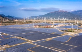 Vietnam’s renewable energy sector lures foreign investors