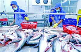 Vietnamese tra fish exports surge, especially to Nordic markets