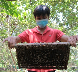 US anti-dumping tax drop delights Vietnamese honey bee-sness