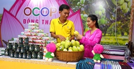 Cooperatives seek business opportunities at Hanoi-hosted Coop-Expo 2022