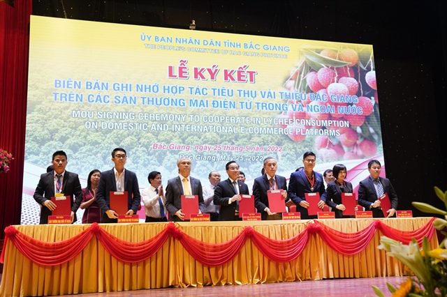 Facilitating lychee purchase for domestic, export markets
