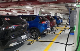 Slow drive for electric car development in Vietnam