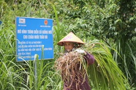 IFAD supports Vietnam’s climate response in agriculture