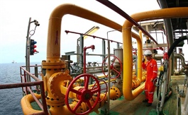 Vietnam in need of investment in oil industry but not at all cost: Lawmakers
