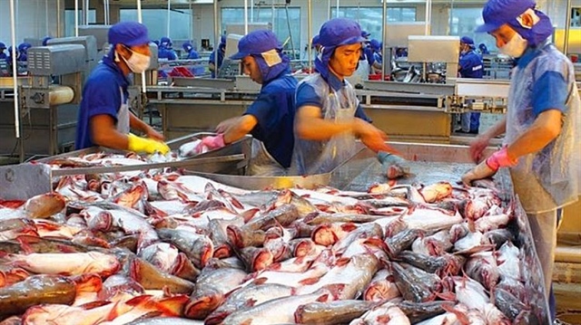 Xuất khẩu cá tra trên đà phục hồi mạnh, dự báo đạt 2,6 tỷ USD trong năm 2022