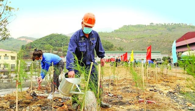 Vinacomin-Nam Mau Coal Company targets green growth